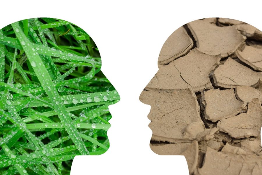 Traditionnel vs Agile : pourquoi changer ?